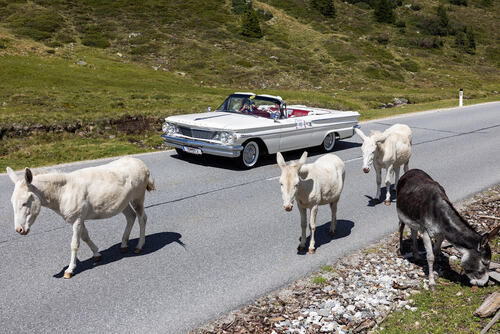 28. Ötztal-Classic